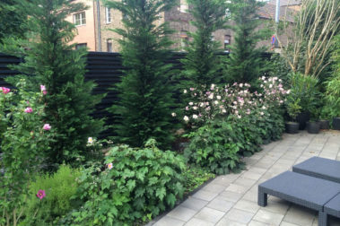 Valla acústica NoiStop Wood