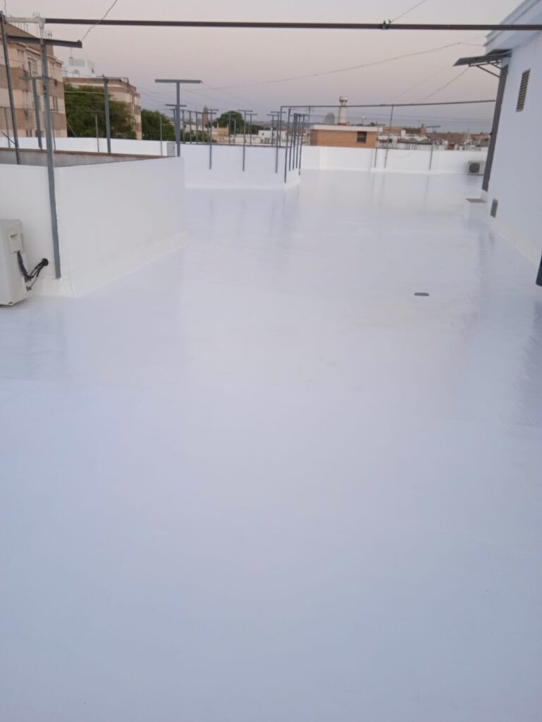 Whatsapp image 2025 12 05 at 10.46.57