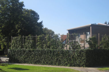 Valla acústica NoiStop Green