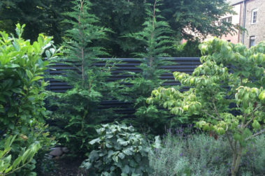 Valla acústica NoiStop Wood