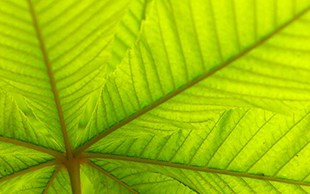 Ahorro de energía y el medioambiente