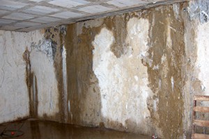 Muro con problemas de filtración de agua y humedad